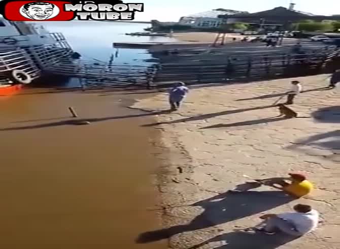 Video :Cows perished in a sinking boat
